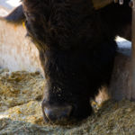 147336469_1484094201765553_66380712582587032_n