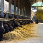 82679139_1176415632533413_8277405120543588352_n